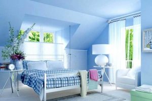 Home Painter and Decorator